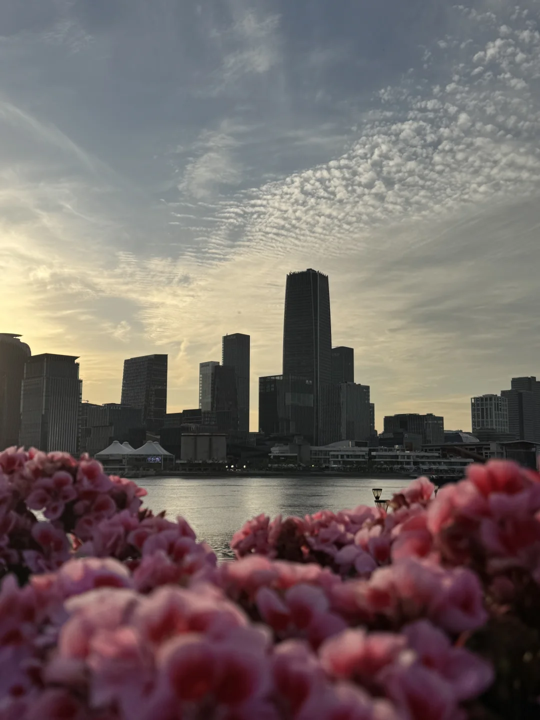 周末的前滩有好几万人