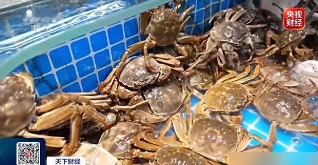菜市场海鲜集体降价，价格快跌到冰点，今年秋天还能买多少。