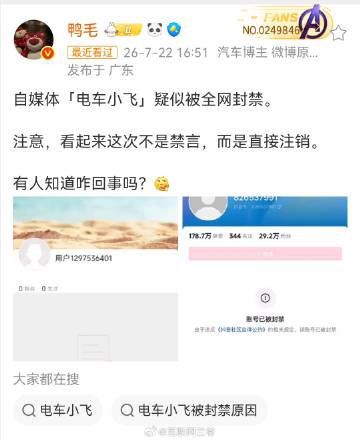 都别猜了，电车小飞被禁原因来了<span class="url-ico...