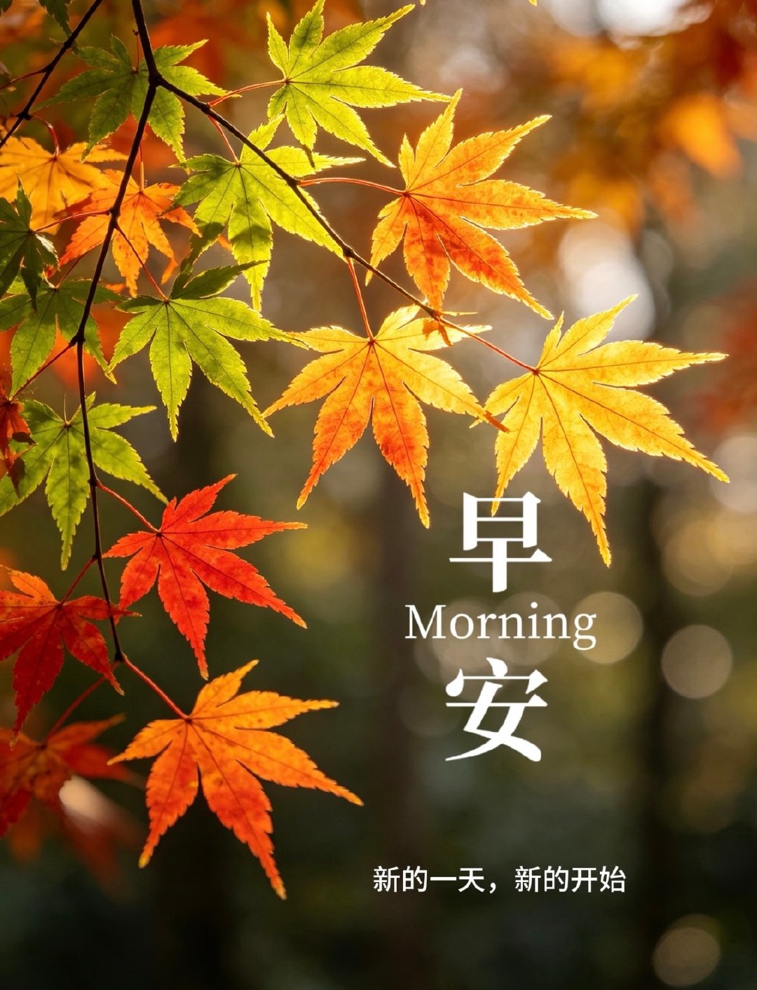 #校园猫宁# 
早安☀️
晨光漫过汾河，赛道已经就绪。
一声鸣枪，万众启程。跑者们迎着朝阳踏上赛道，用脚步丈量锦绣太原，感受古城的生机与力量。
愿每一位选手，步履从容，不负热爱，平安完赛，奔赴属于自己的终点！🏃
#2026太原马拉松今日开跑# ​