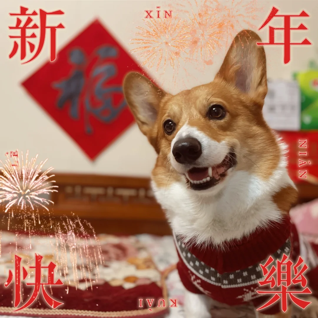 除夕快乐！！