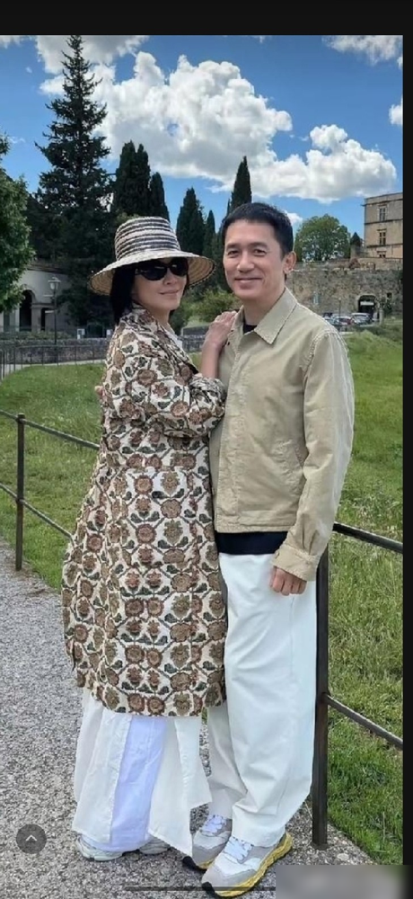 社恐影帝又在法国小镇捡鸡蛋了，旁边站着个气场全开的刘嘉玲。
每次露面，梁朝伟都一脸茫然，紧张得像个被家长领出门的小孩。刘嘉玲呢，社牛到哪都是主场。可就是这对反差到极致的夫妻，选了个连信号都费劲的清净地儿，一住就是大半个月。
梁朝伟自己溜达着喂鸡、发呆。家电坏了，一个电话打给刘嘉玲，人正拍照呢，立