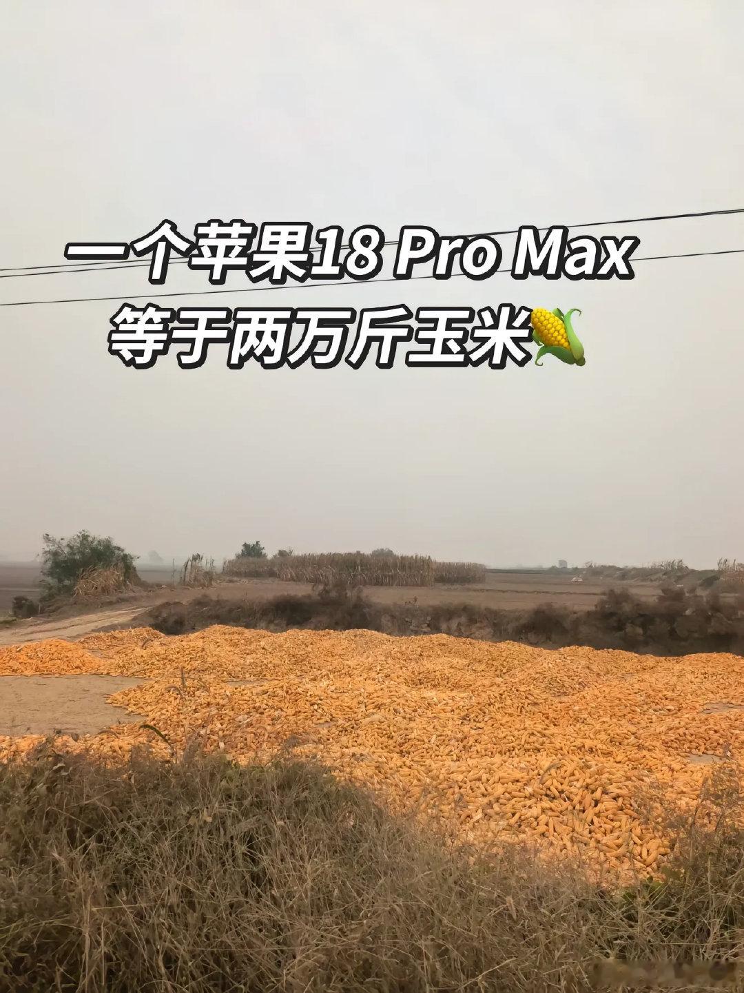 一个苹果18 Pro Max等于两万斤玉米、相当于10亩地。

#手机万元工资三千# ​