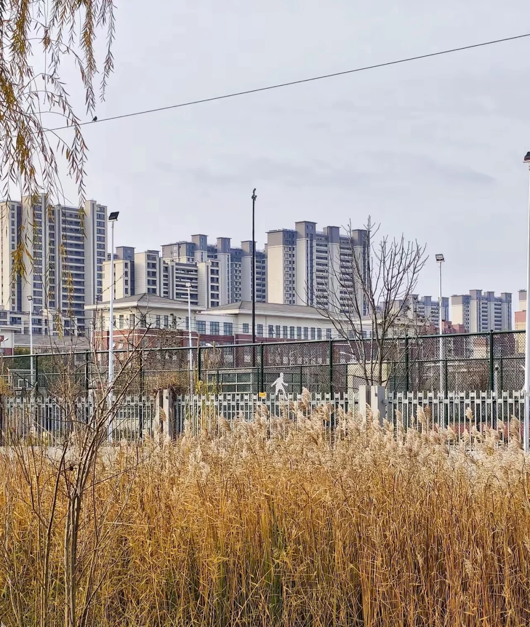 🤯说房价📉到2015？次新小区数据戳穿！