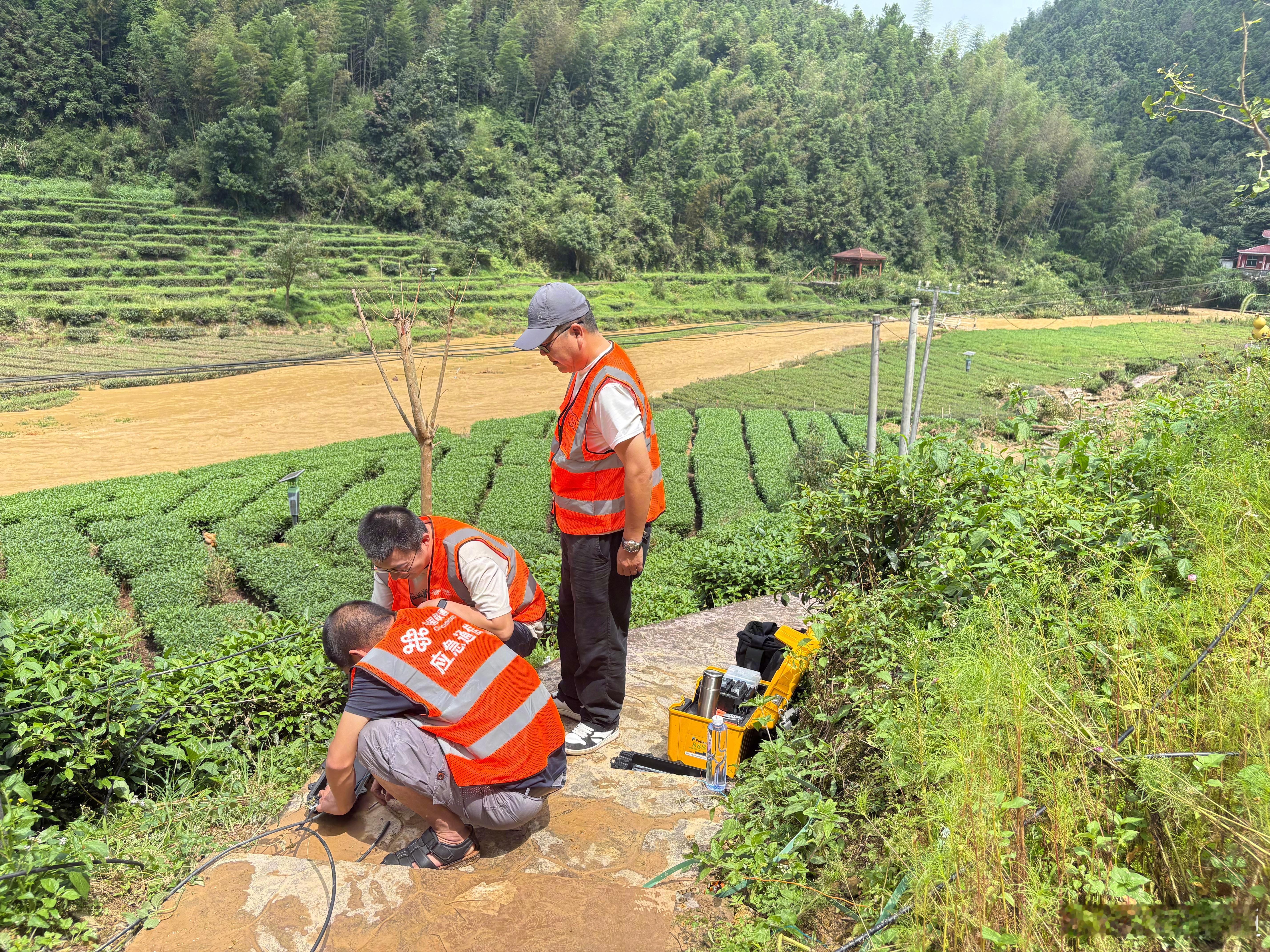 【#江西遂川发生泥石流灾害#，核心灾区受损通信已全面恢复】受台风 “沙德尔” 持续强降雨叠加汛情影响，9月5日凌晨，江西吉安高坪镇明坑村石下组发生泥石流灾害，造成房屋损毁、人员失联、道路阻断，基站传输线路受损严重，乡镇通信瘫痪。面对塌方断路、泥泞湿滑、次生地质灾害频发等恶劣因素，中国联 ​