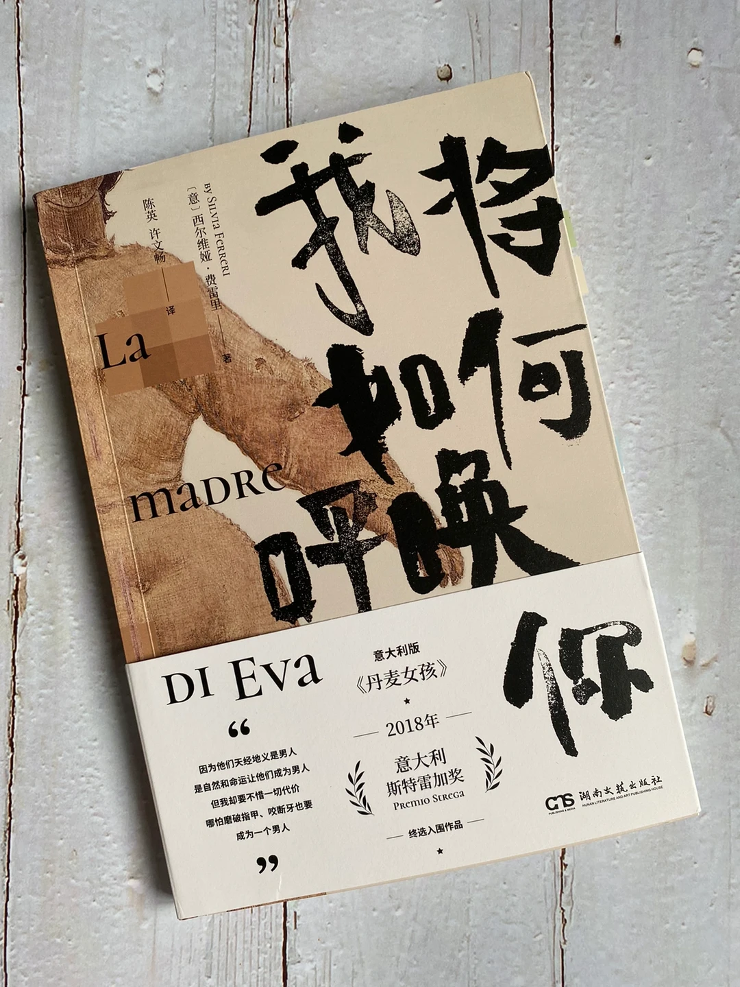 孩子变性后，一位母亲的“罪己诏”