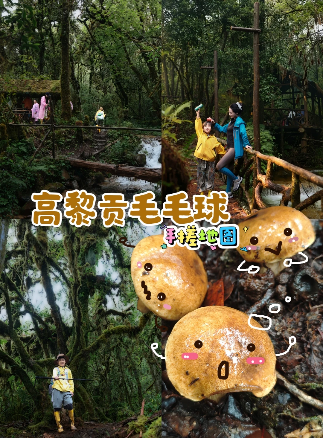 关于高黎贡，说点全网都没人说的