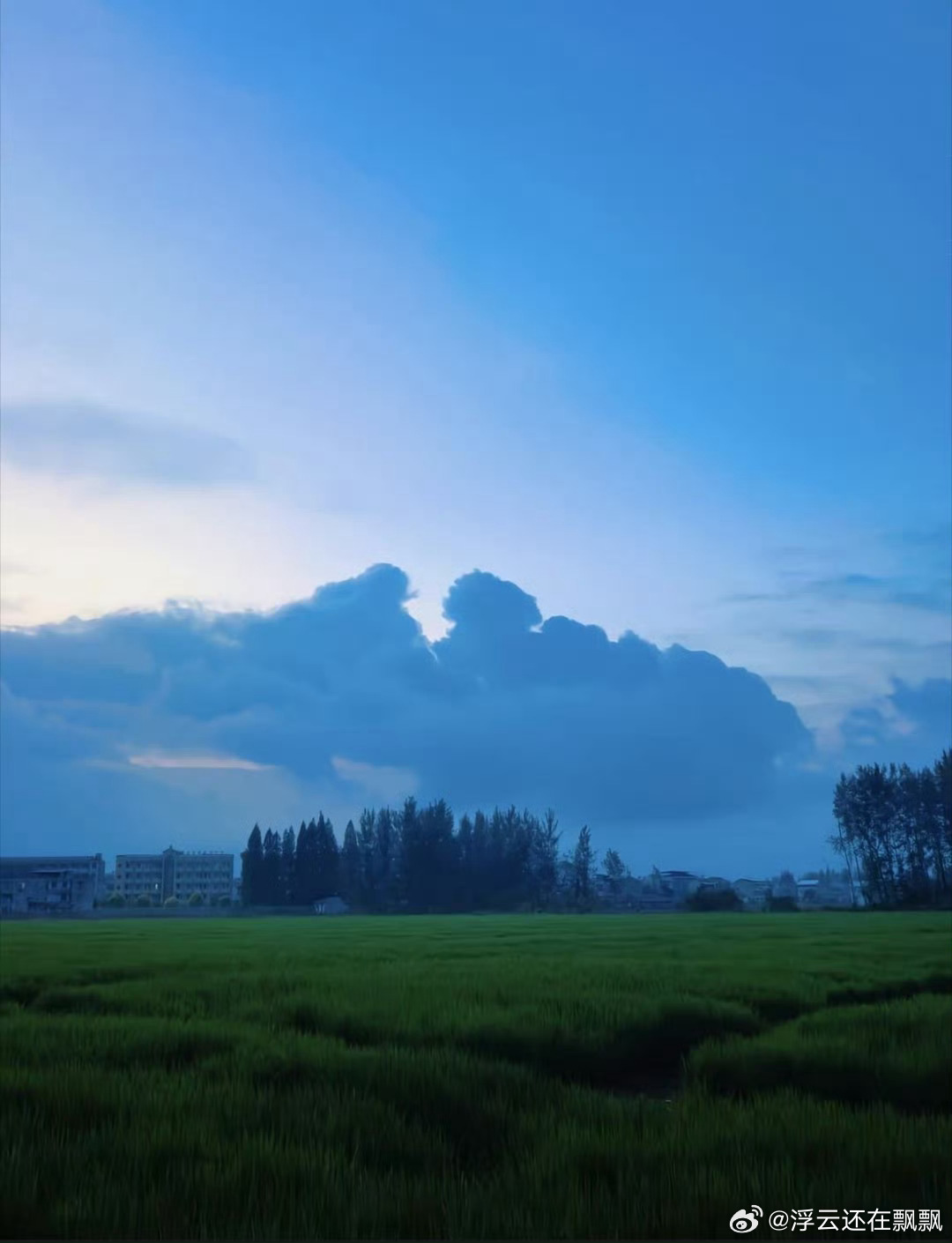 全民补课，教培机构制造焦虑，把补课吹成刚需，中考录取分有原来的总分50%提升到现在的80-90%。这是谁的错？是孩子吗？是家长吗？
现在，“预制娃”已经不少了，且“预制娃”呈越来越多的势头。
上午，我去西城办事，亲家母说，你顺路把孙子送补习班吧！我到了培训机构大吃一惊，虽说不是学校，可气势 ​