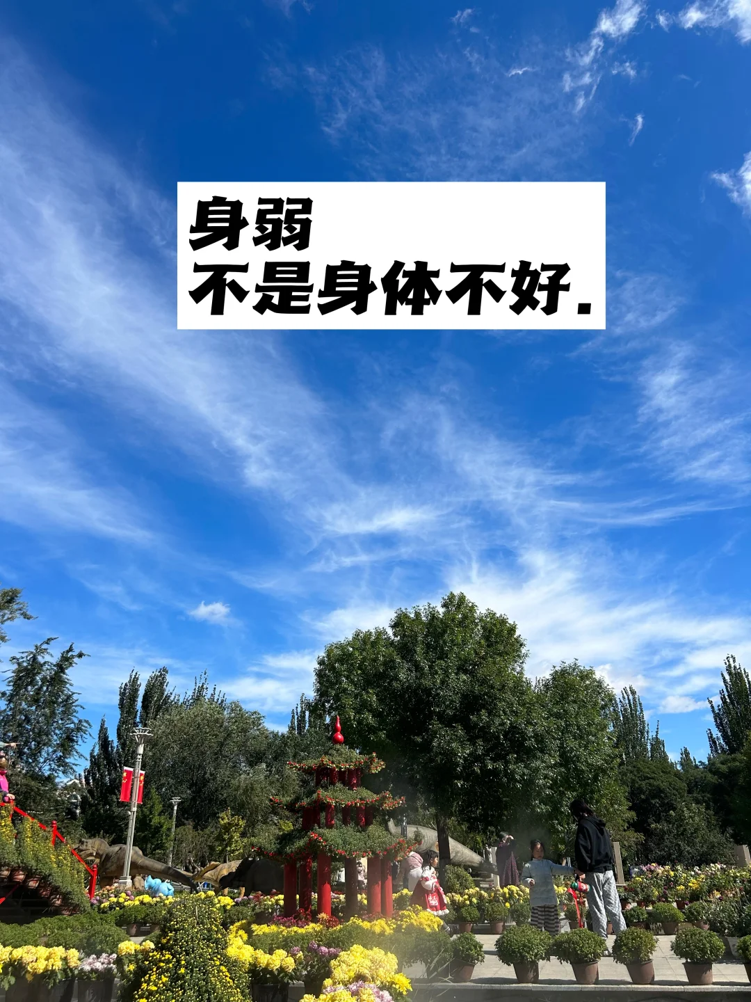 身弱，不是身体不好.