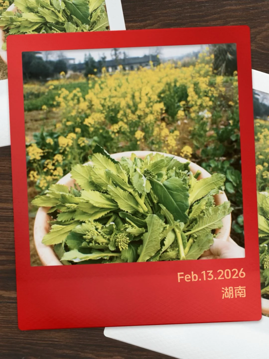 这一刻才算是到家 我是春节主理人