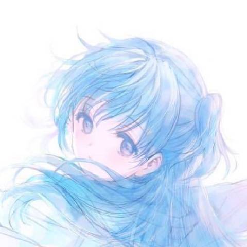 凡龙论动漫
