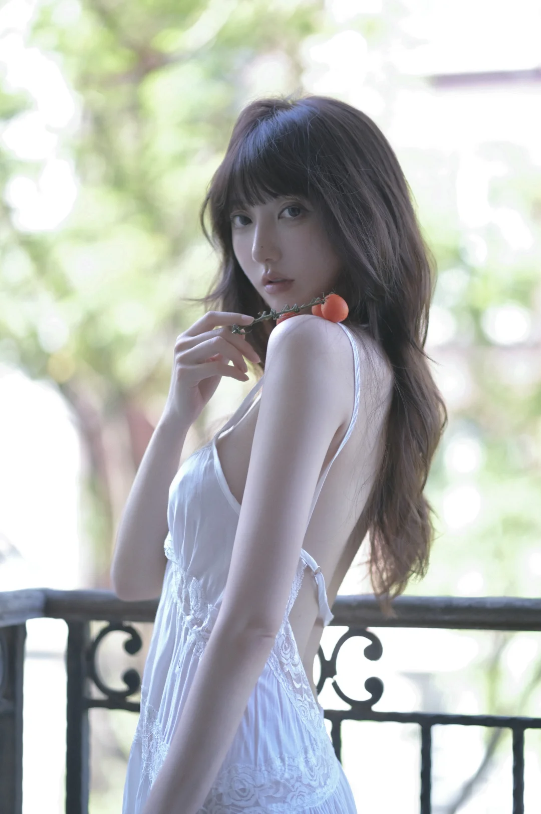 只在夏日开放的野蔷薇