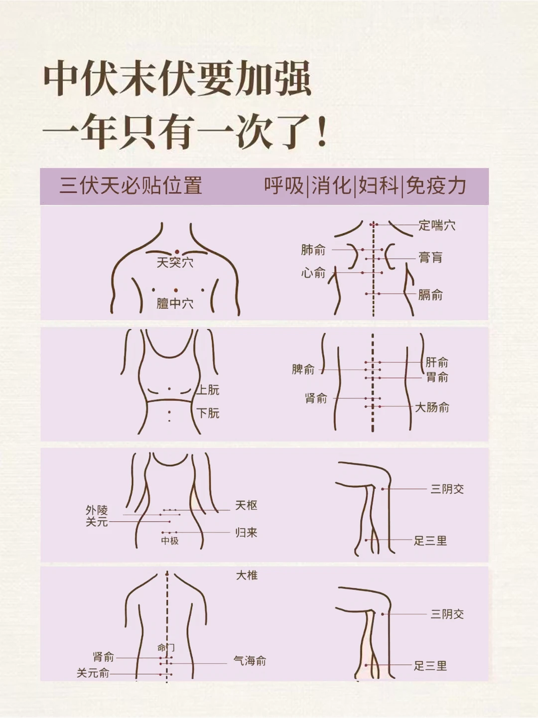 中伏20天，要贴贴。一年只有一次，要趁早。