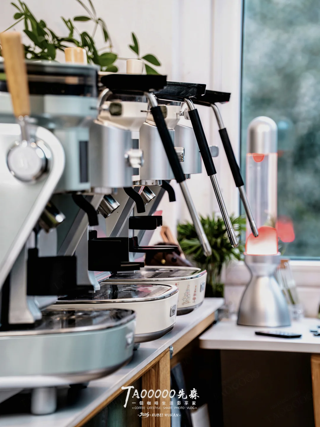 来个塞纳全家福吧，有什么问题随便问