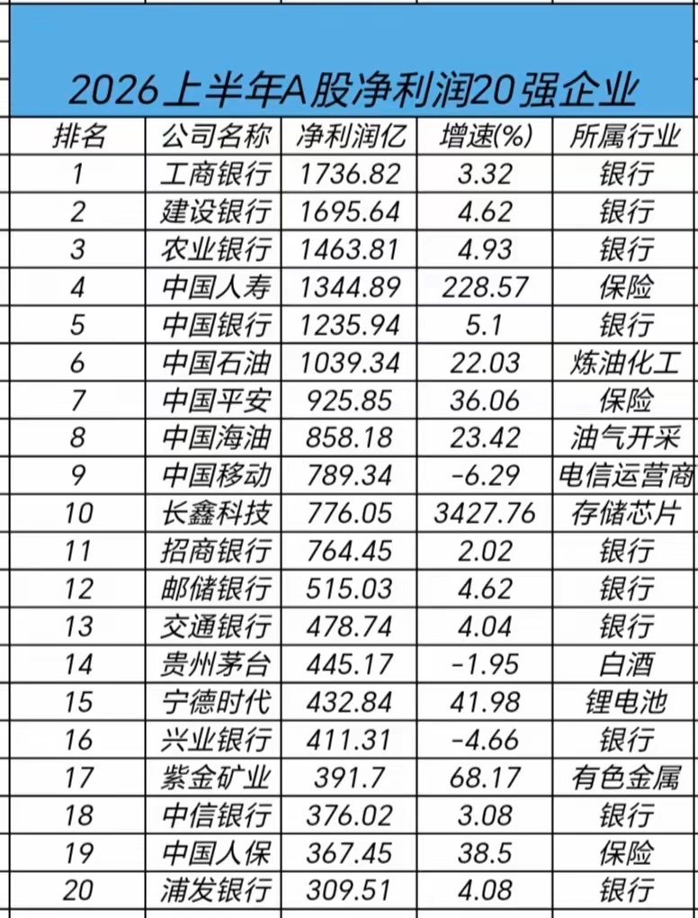 A股2026上半年最赚钱20家上市公司
​​2026年A股上半年归母净利润TOP20榜单，国企占据绝大多数席位，银行、保险、能源企业包揽靠前位置，长鑫科技成为最大黑马。
​​四大国有银行盈利能力依旧强悍，工商银行、建设银行、农业银行净利润位居榜单前三，赚钱能力十分稳定。保险板块表现亮眼，中国人寿增 ​