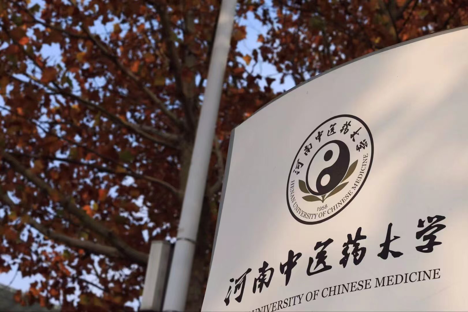 #魅力河中医#

善待自己，张弛有度，守护好身体与情绪，才是人生幸福的基石。


（图片：赵翔宇 文编：苏雨晴 责编：行铁娇） ​