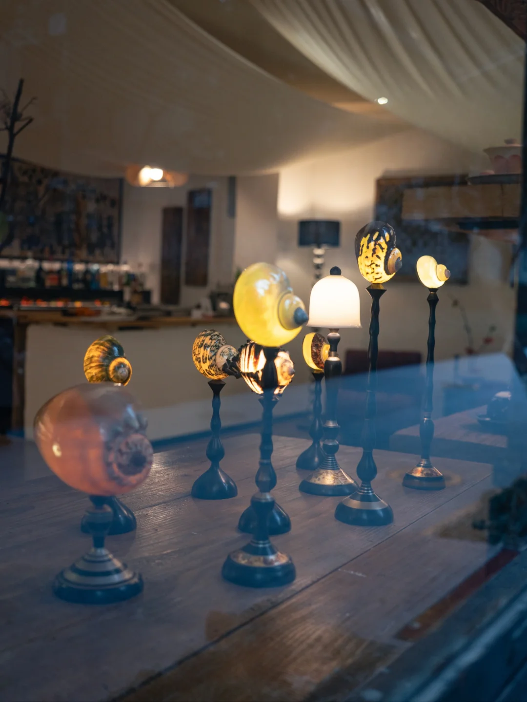 重庆社区宝藏店｜我们新淘的海螺灯