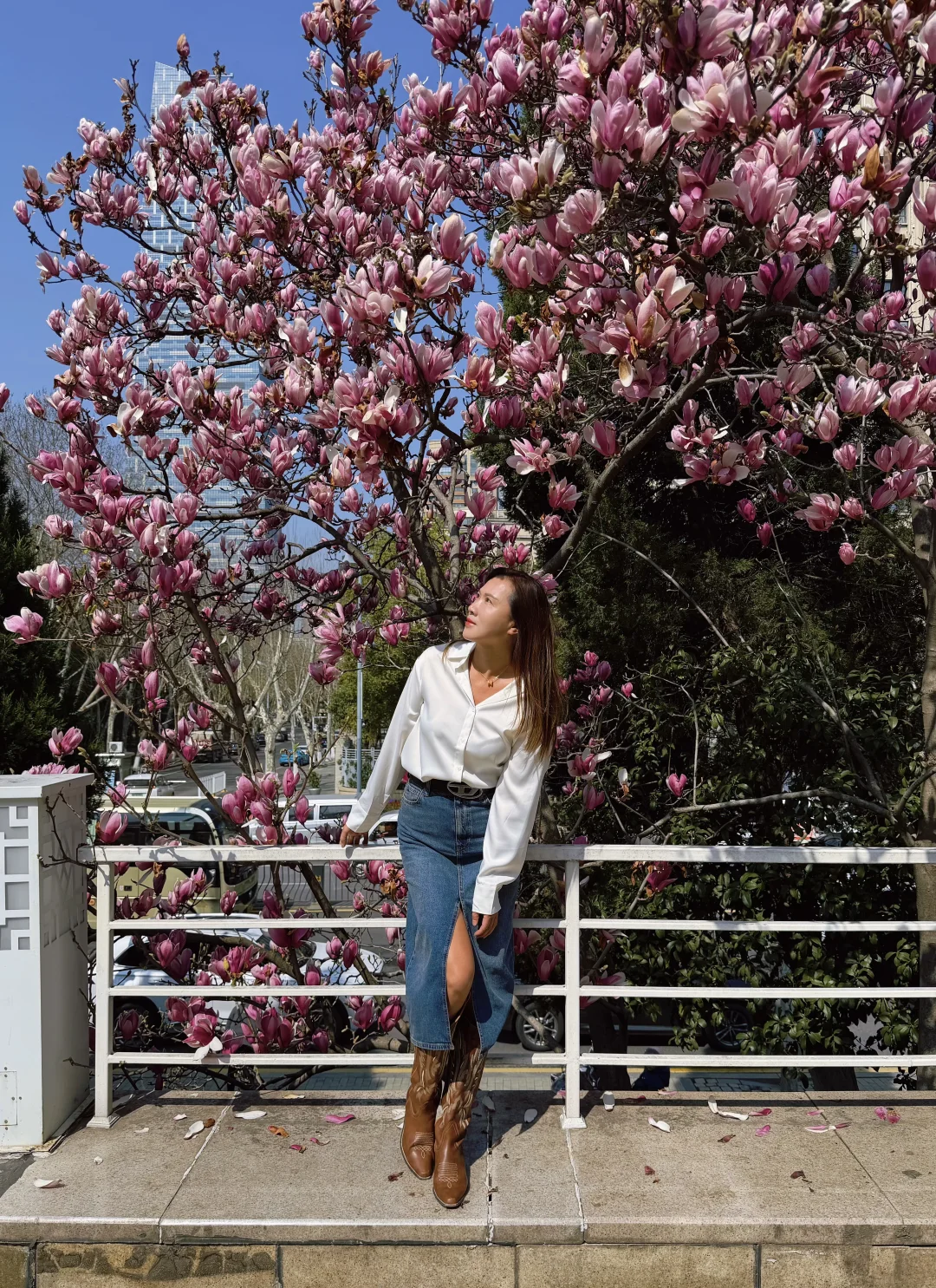 3.11实拍，汉口江滩玉兰盛开❗️