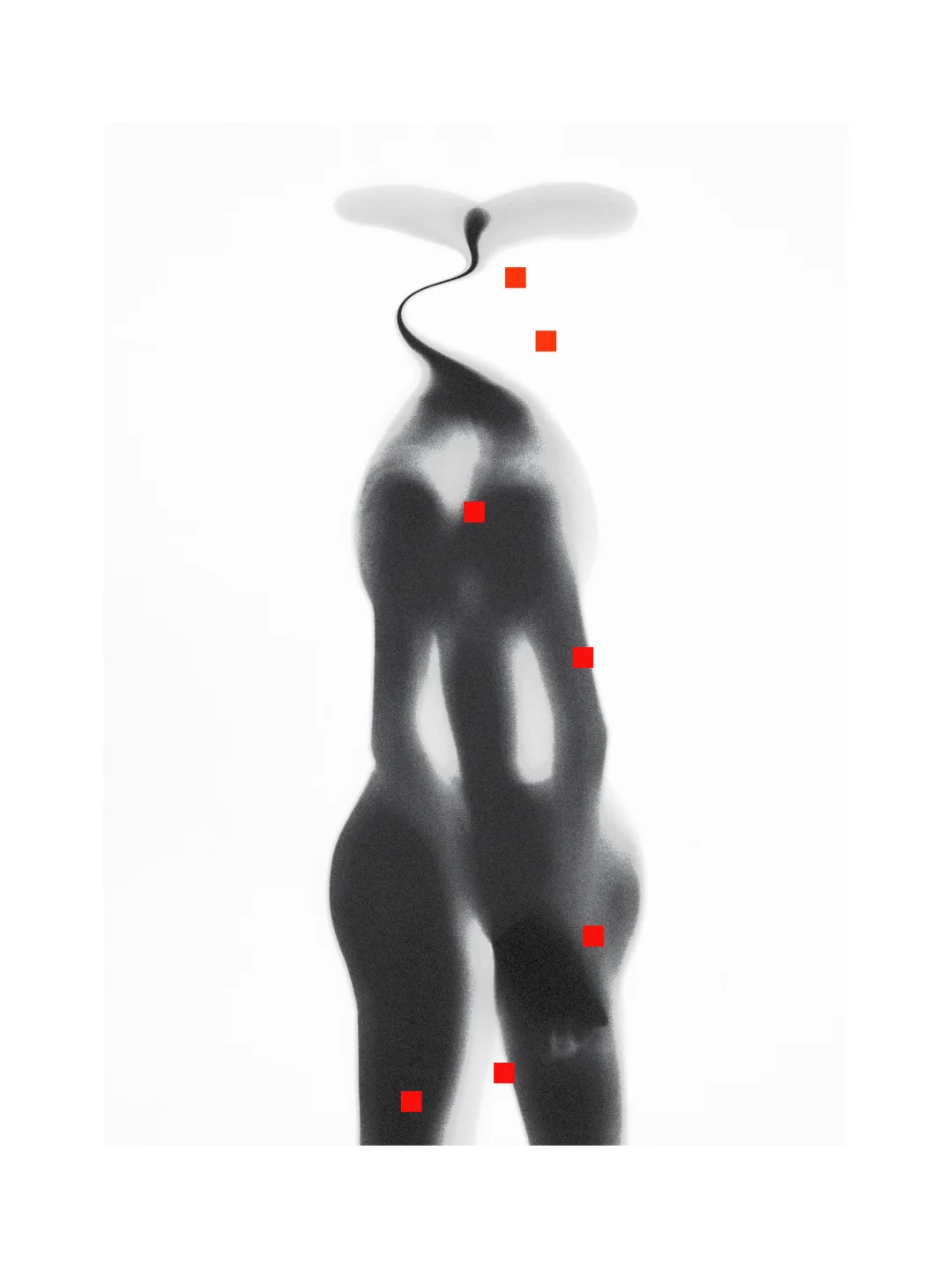 摄影与绘画的结合