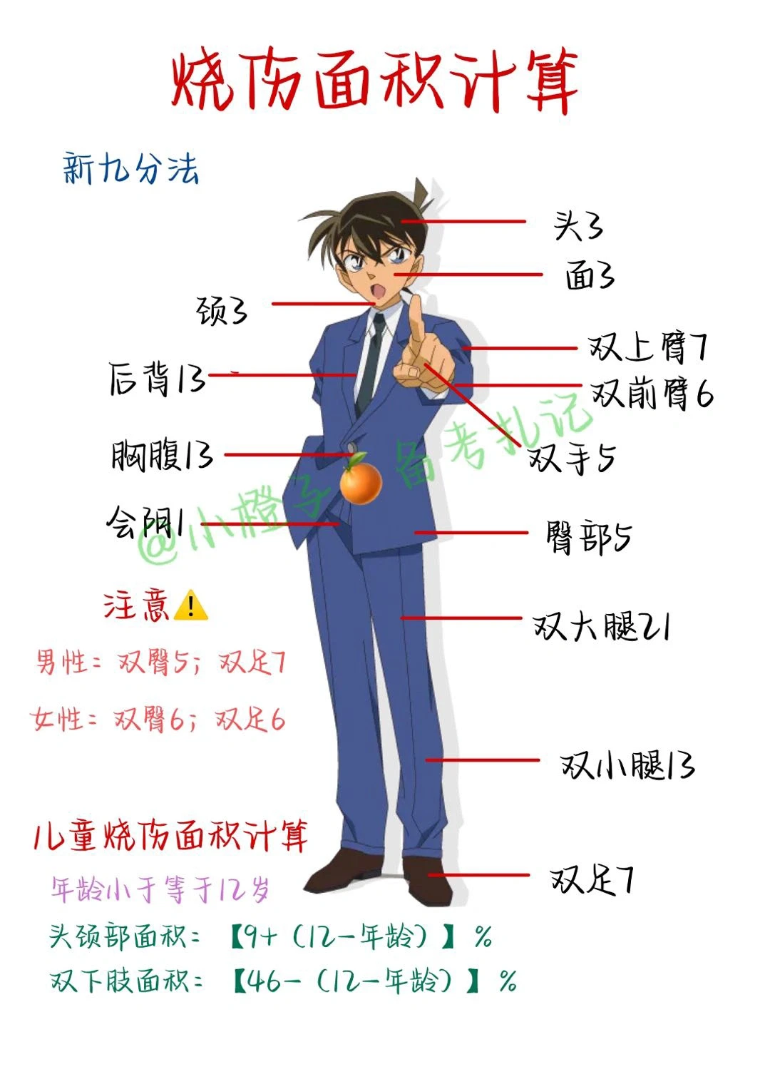 📖护师笔记｜烧伤面积🙋