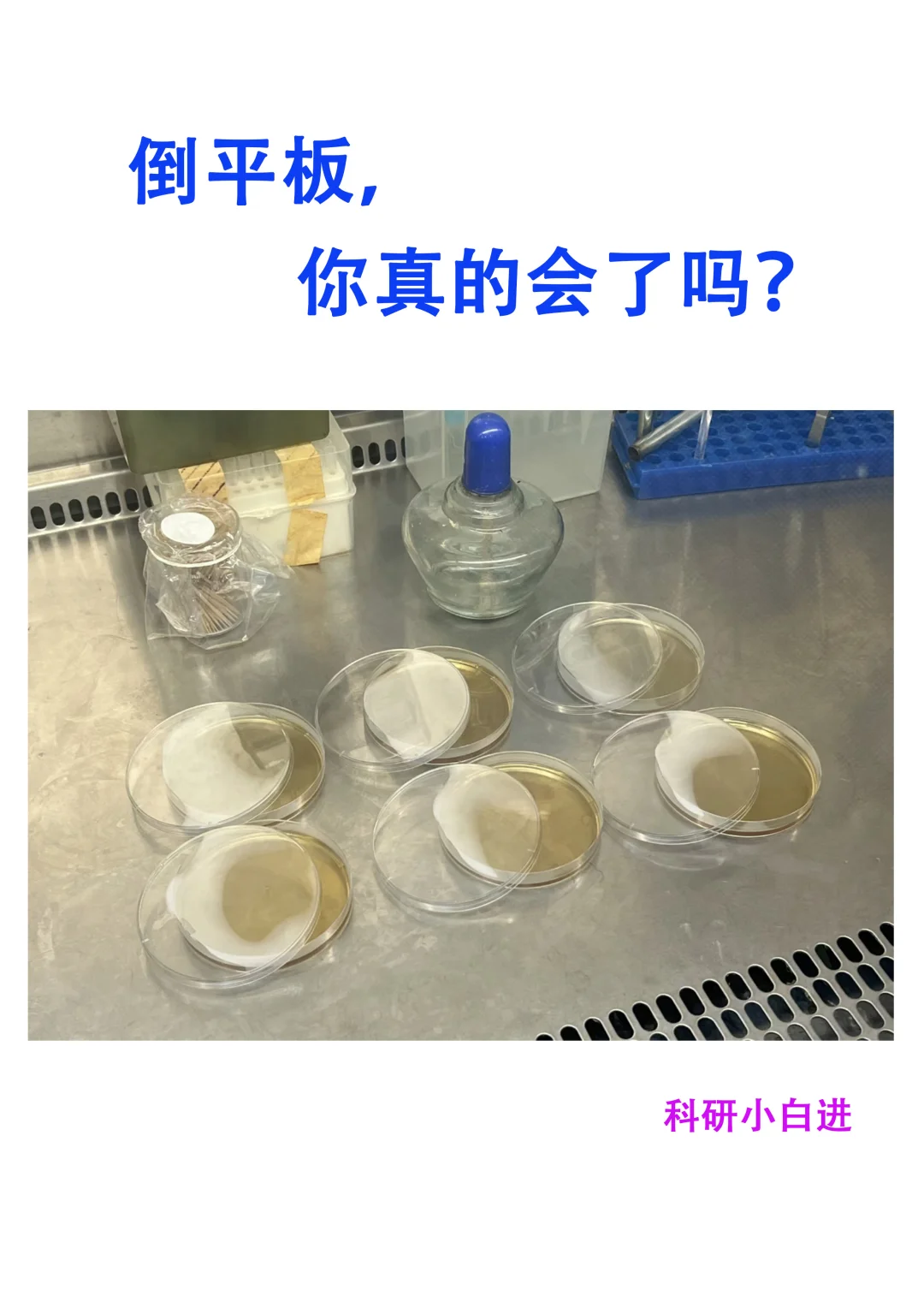 🔥倒平板，你真的会了吗？-小白回顾篇