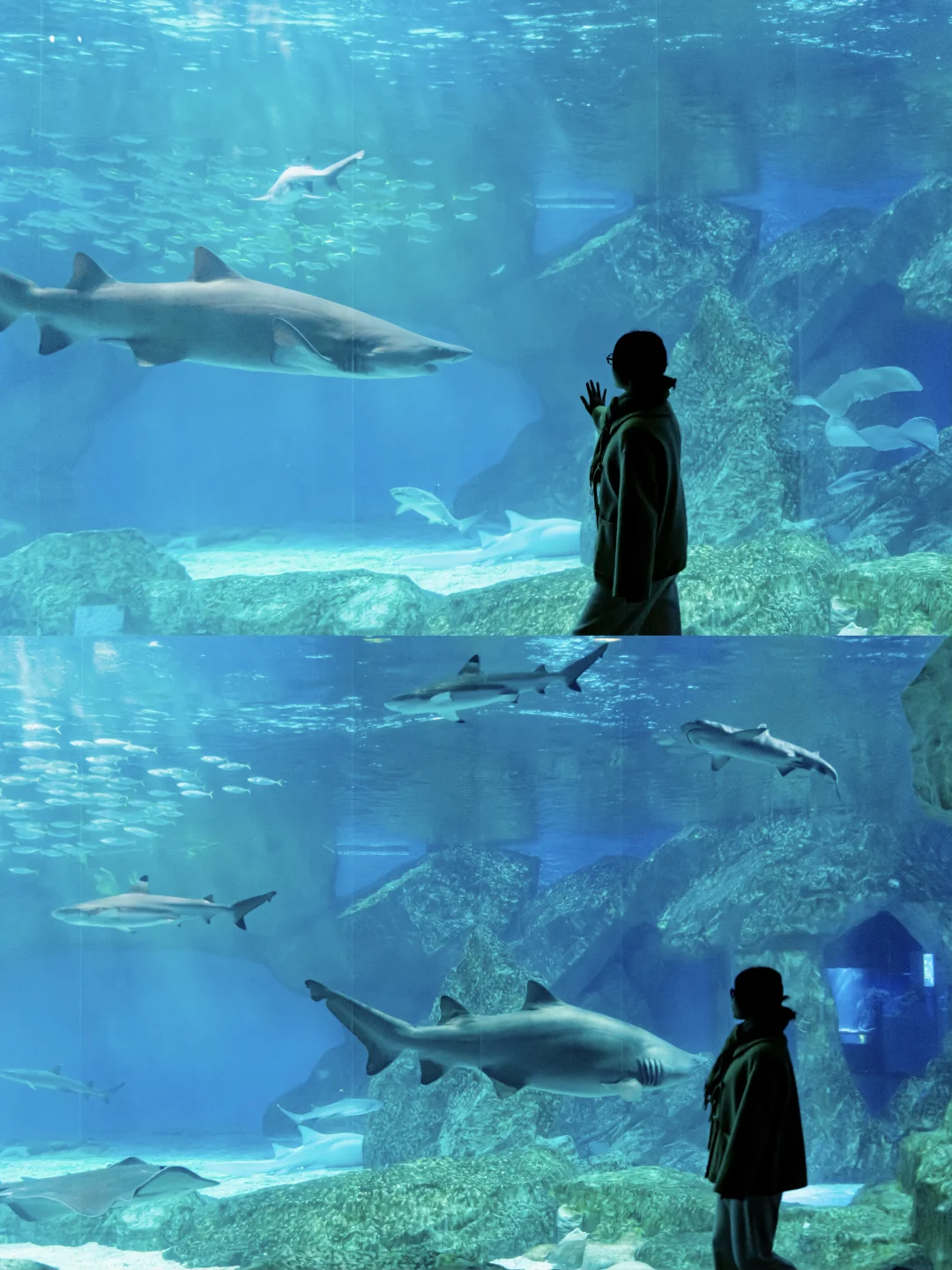 地铁直达🌊我在成都花的最值的一笔钱……