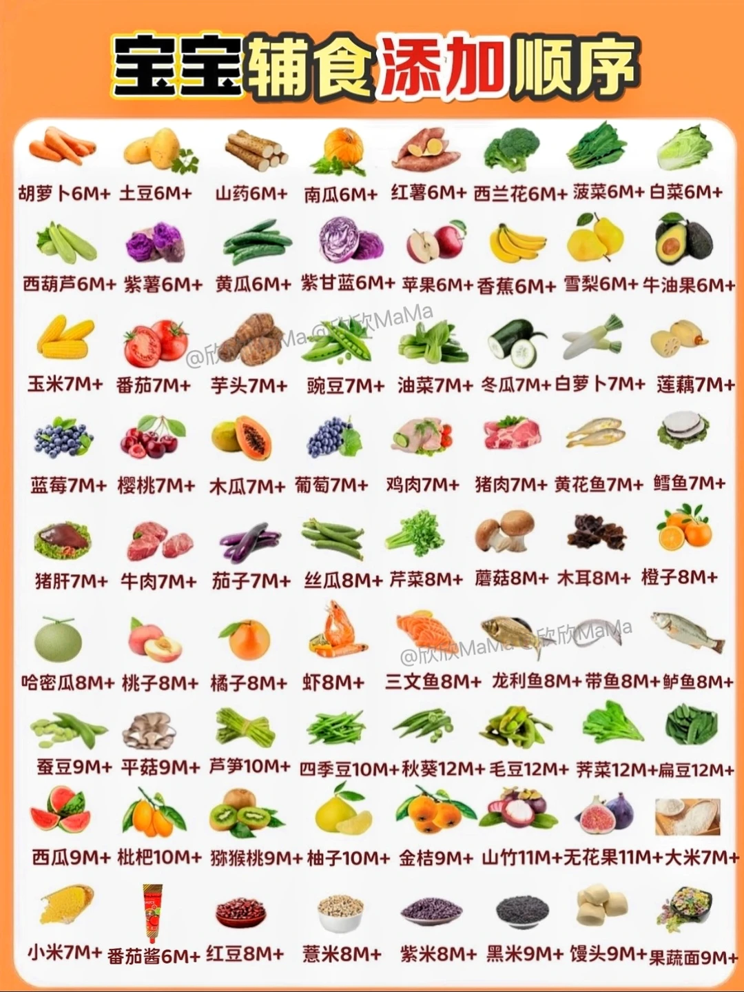 最全6-12月宝宝辅食添加顺序｜按月整理收藏✅