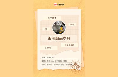 婚姻观念也变了，以前结婚是人生必选项，现在人们更看重自我成长和价值实现...