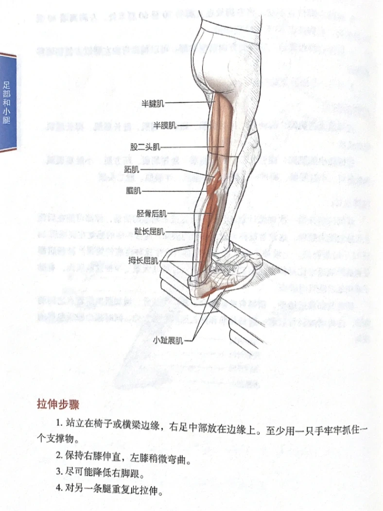 小腿粗又紧如何拉伸？教你简单拉伸腘绳肌🔥