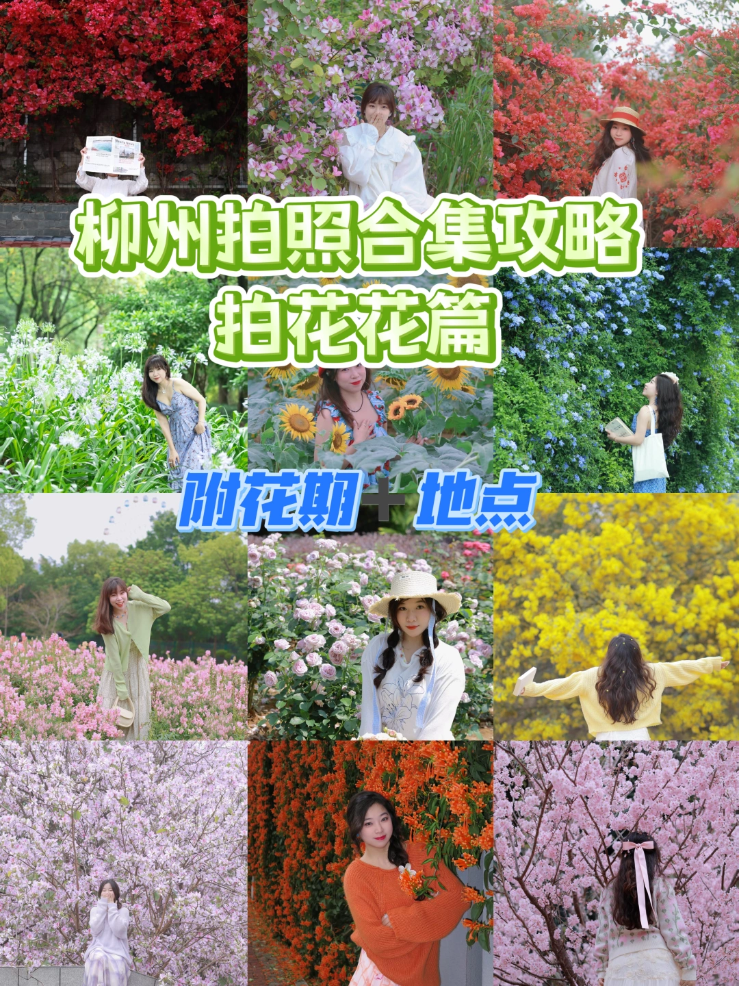 柳州拍照攻略！！！赏花篇（附花期➕地址）