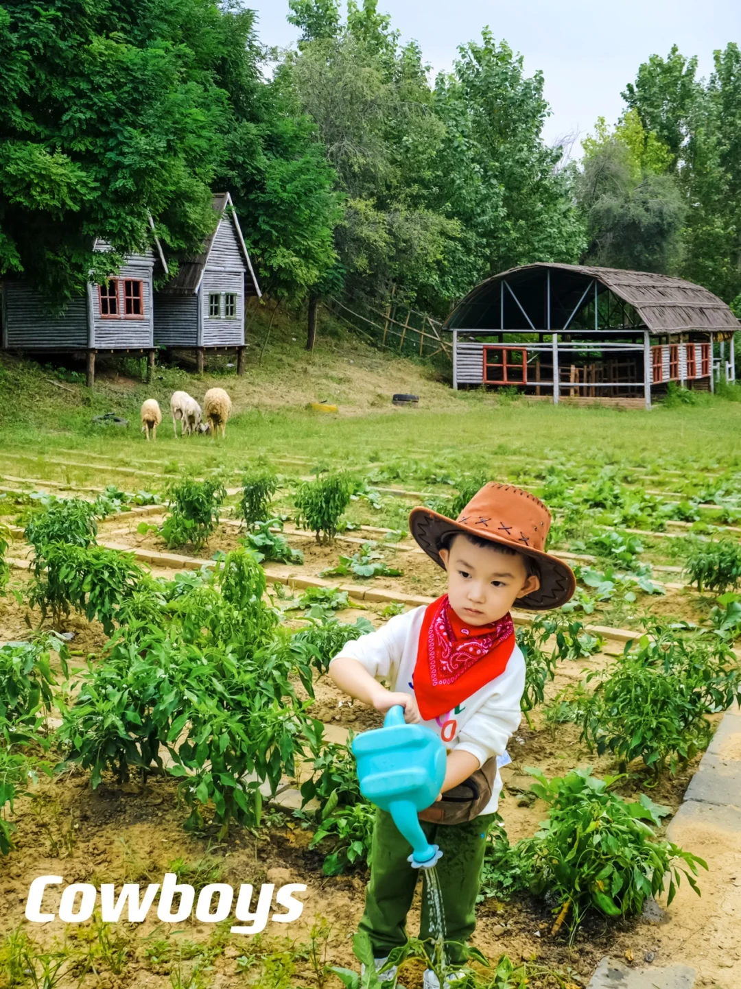 农场新体验‼️变身小牛仔🤠劳动赚钱自由消费