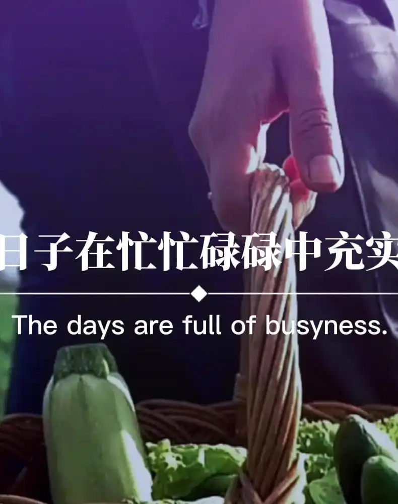 不管夜里多晚睡，天亮必须早起，不管身体多少疲惫，压力必须扛起，不管心里...