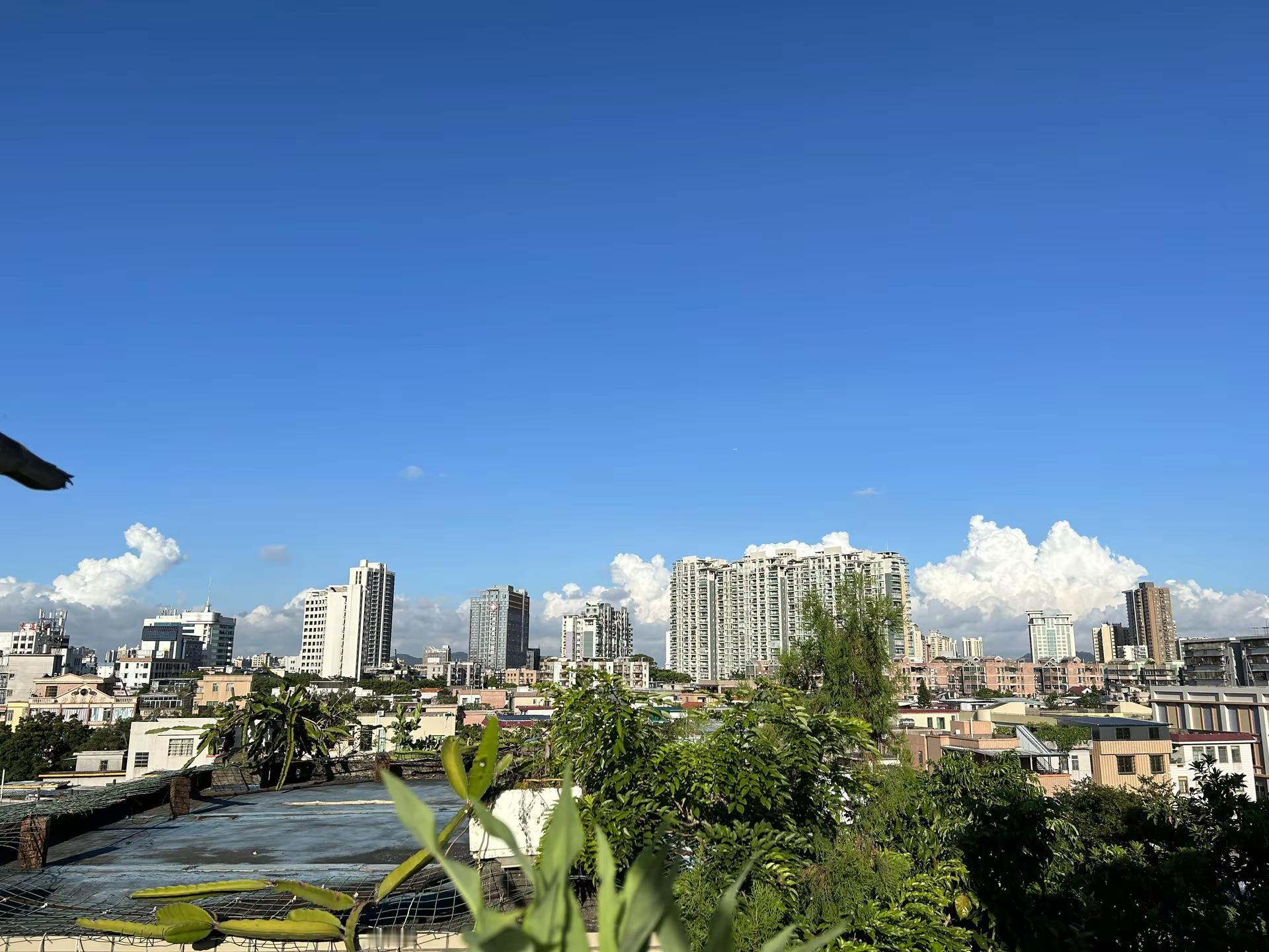 王安宇不愧是学播音 太好听了。玩法合伙人计划 独白玩法训练营 我的城市天空很美王安宇