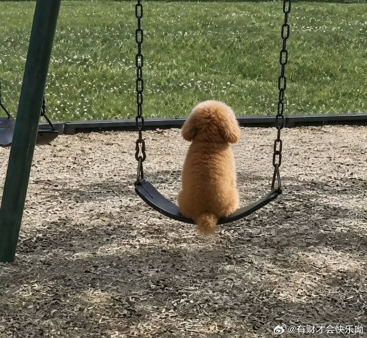 近日一则“狗市男孩爱犬被卖”的视频引发热议，父母无视痛哭执意卖掉陪伴犬，最终在路人的集体干预下，狗贩子才不情愿地将狗退回。  一、事件核心经过- 交易现场：在狗市，男孩的父母将他从小养大的爱犬以120