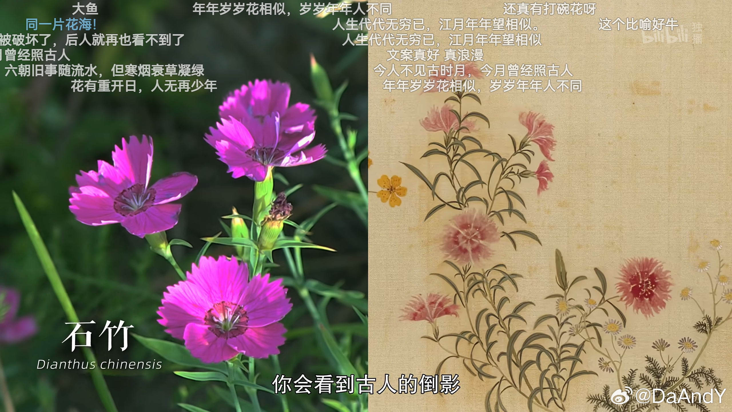 《生命奇观2》内蒙古高原
好震撼的自然景观，地球的血色心脏，在岁月长河里默默跳动
汉人画家蒋廷锡的《塞外花卉图》，细心地把草原上的野花记录下来。
年年岁岁花相似，岁岁年年人不同。每一朵花都是一口时间的井
沙漠风暴很壮观，我超级喜欢。四方老师也是超级热爱了，充满了对雷暴雨的憧憬。（有部 ​