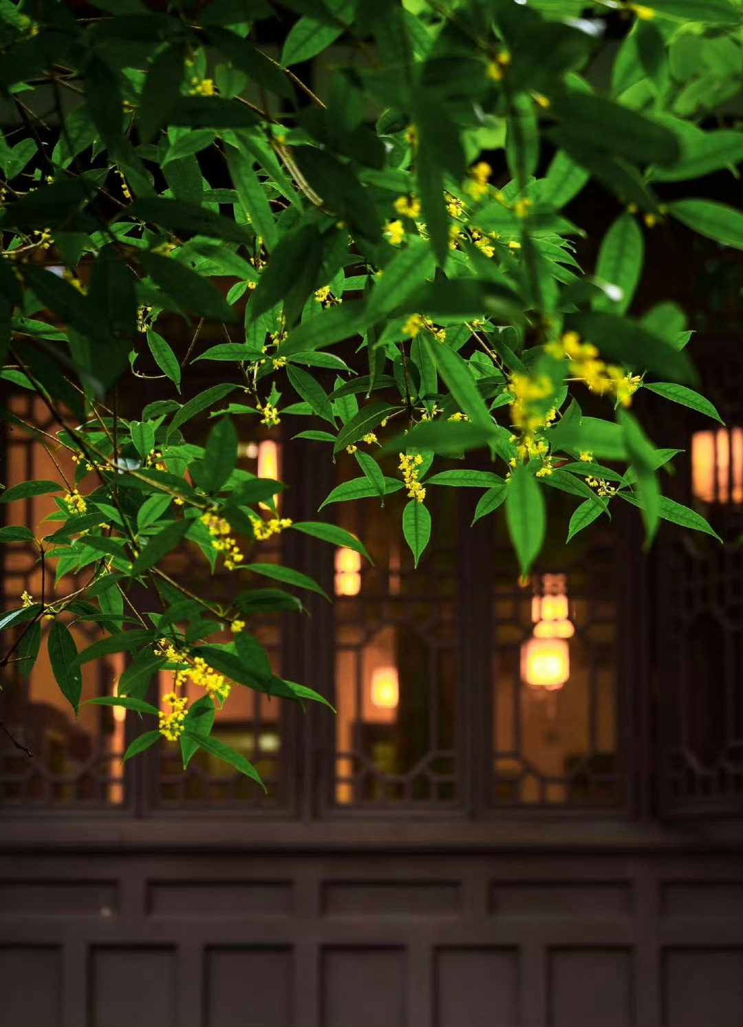 教师节的礼物终于送出去了，小殊妈妈哼着小曲回来的，神态颇为自得。
    这件事已经困扰她好多天了，送还是不送？这是个问题，送什么？怎么能送到老师的心坎上，是个更大的问题，对于情商堪忧的她来说，太费思量，脑仁疼，天天让我和小殊轮换着给她揉。
小红书，deepseek，知乎，搜索了几个晚上，先把 ​