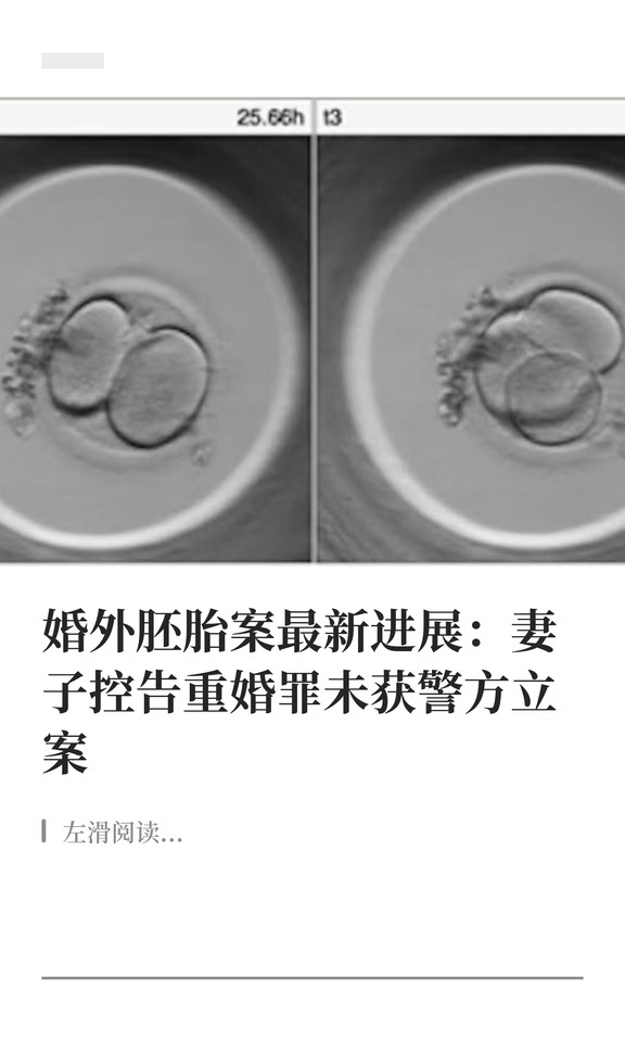 婚外胚胎案最新进展:妻子控告重婚罪未立案