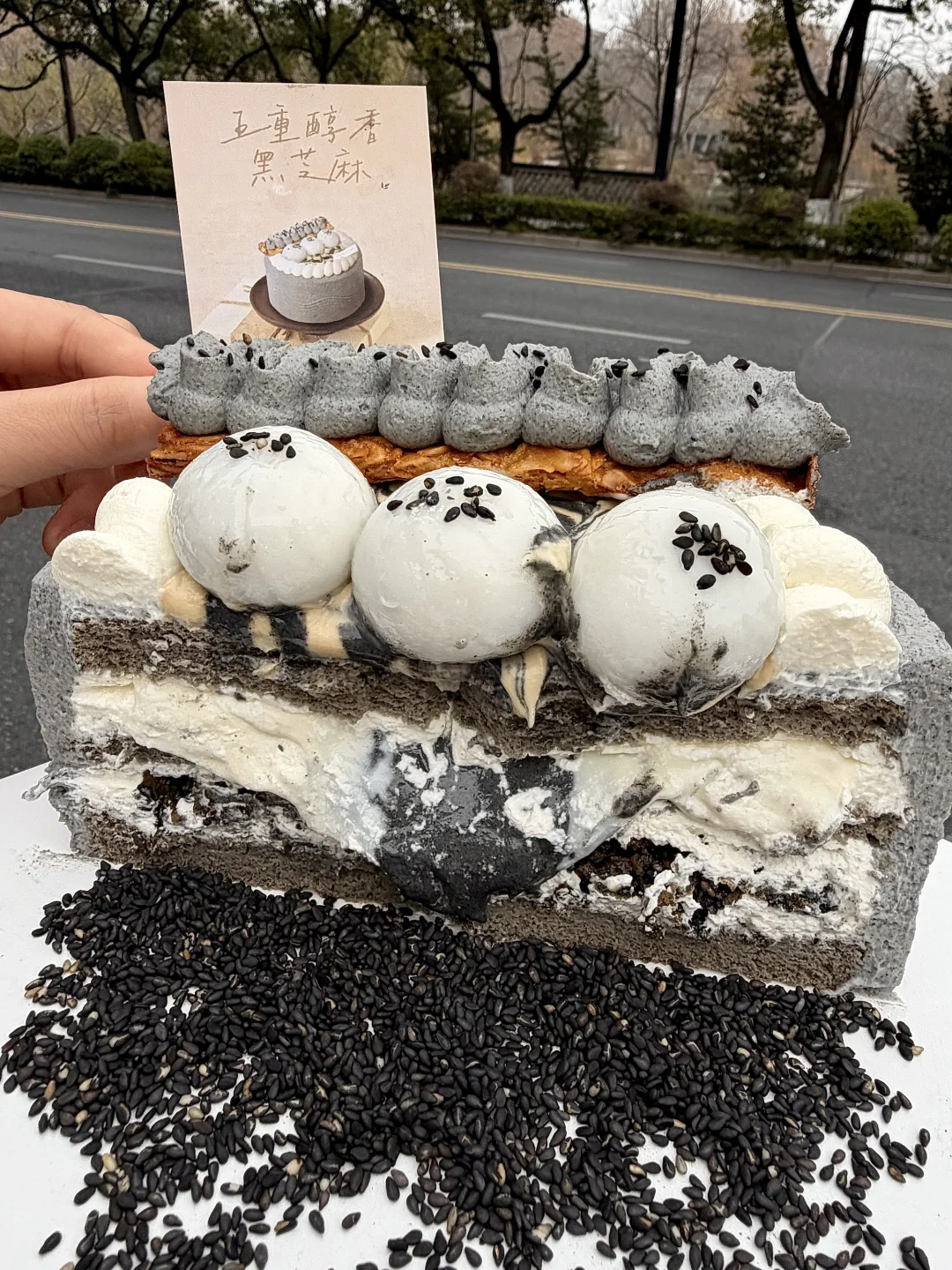 拜见杭州黑芝麻蛋糕大王。。。🥹🥹🥹