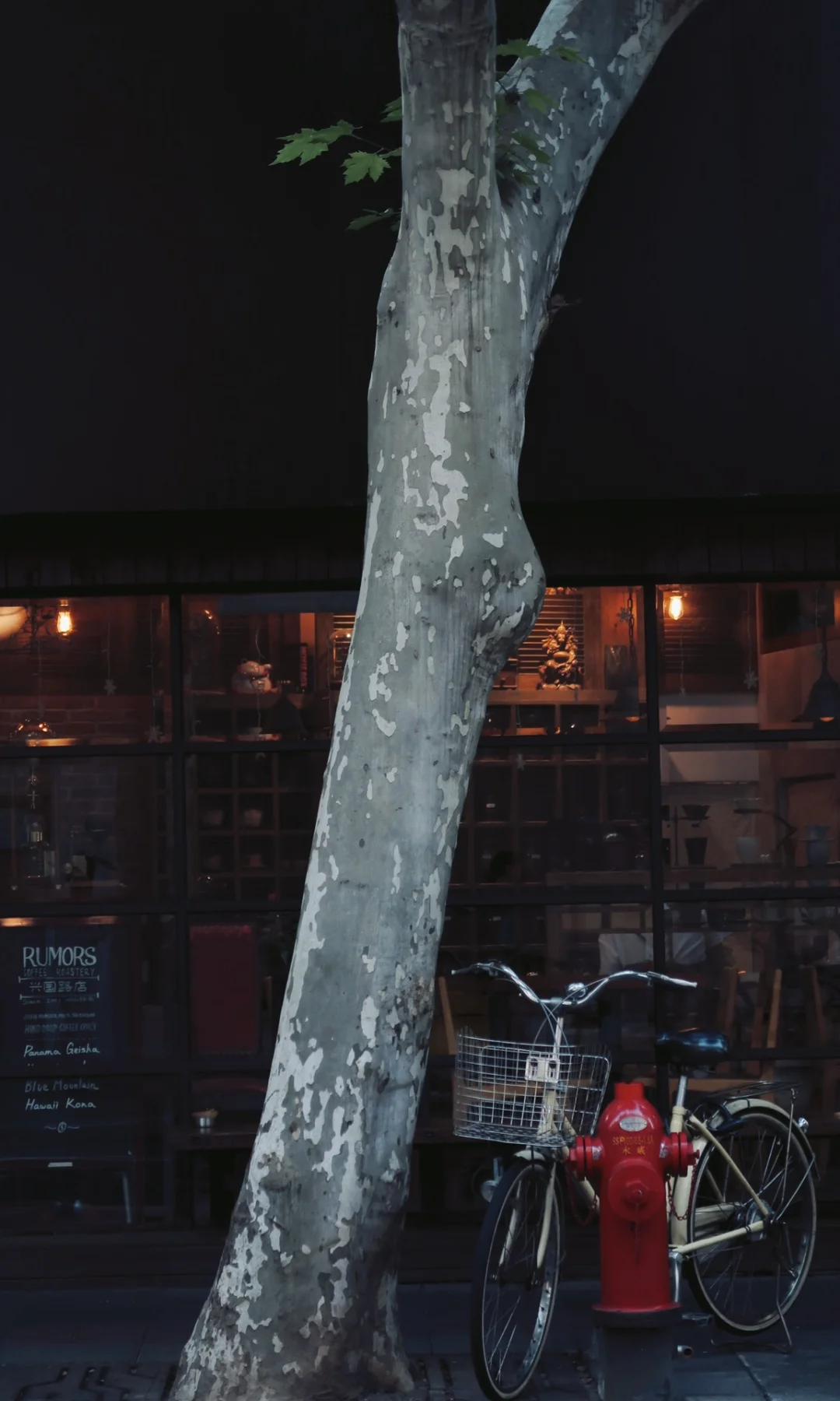 大概在10月才知道为什么大家都迷恋上海❗