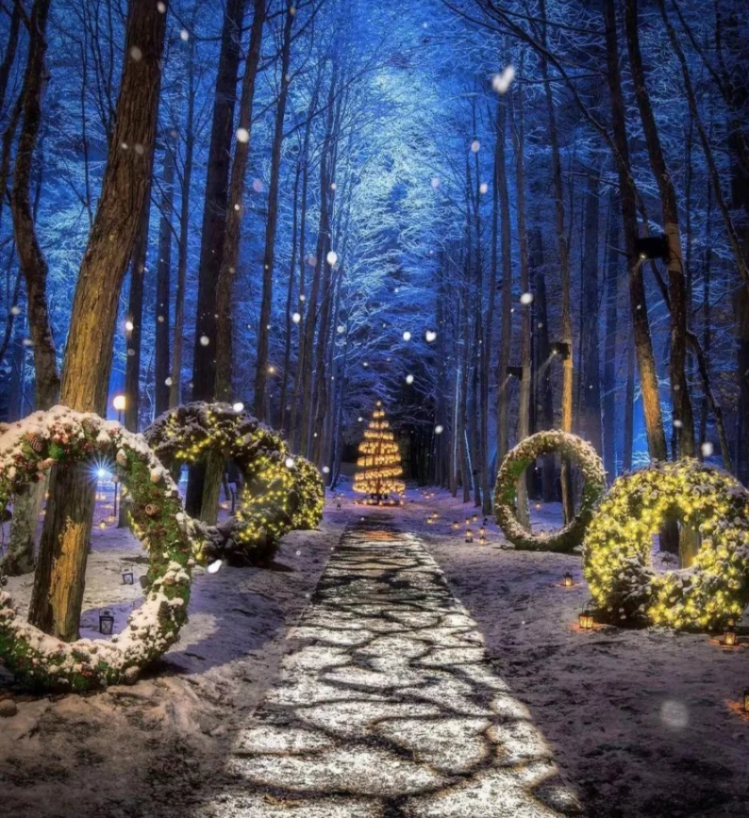 日本长野县｜有种浪漫来自教会⛪