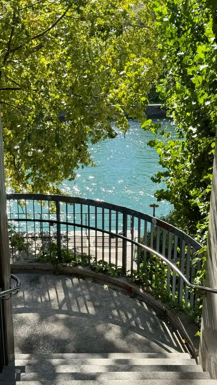 绝佳：湖景房、阳光、绿树