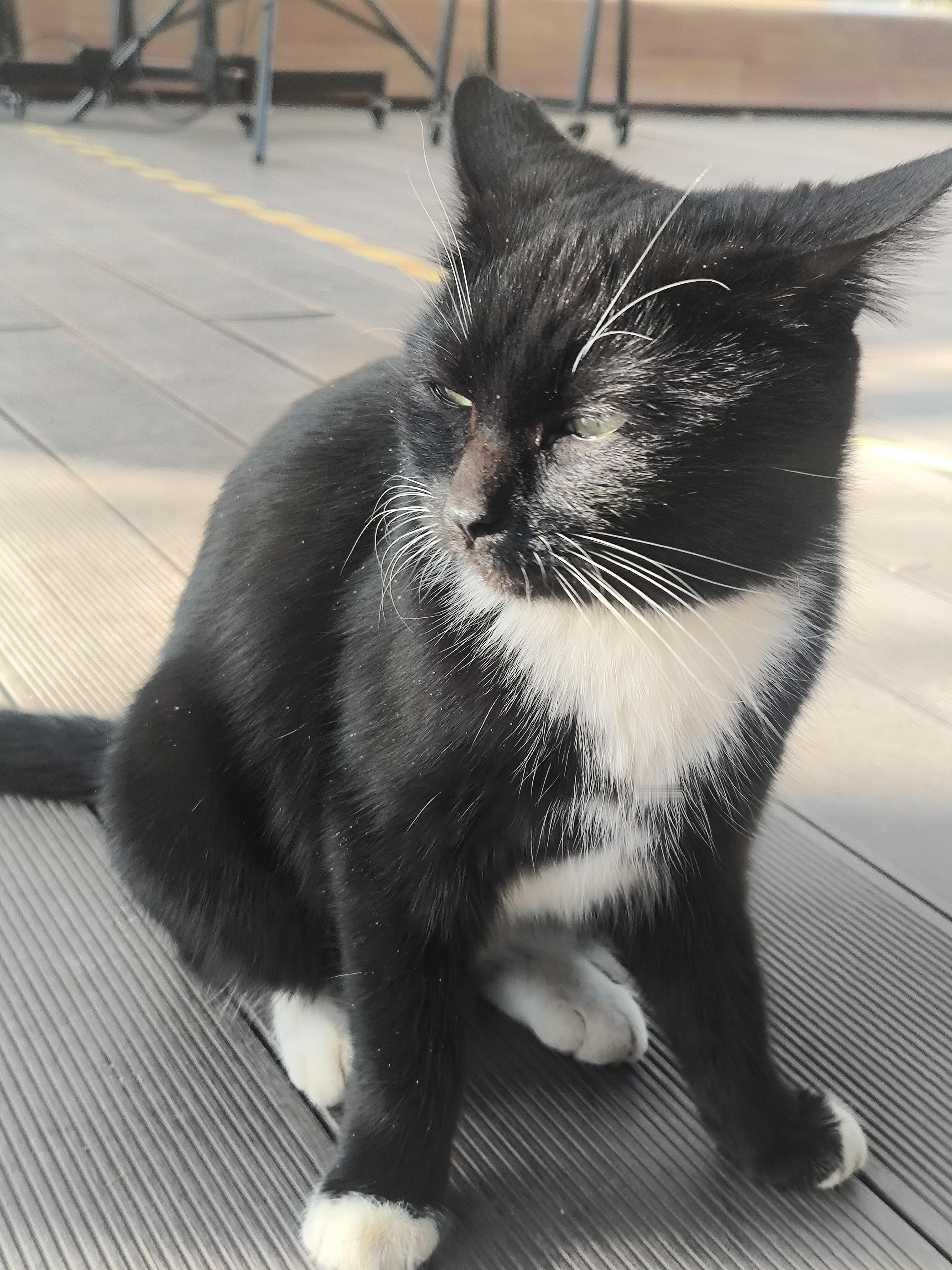 <p>有气质的女人给人什么感觉 <!--{img:0}--></p><...