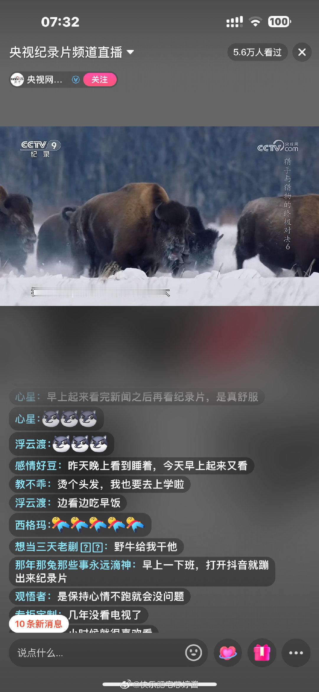 最近的早晨都伴着动物世界苏醒[开学季]  ​