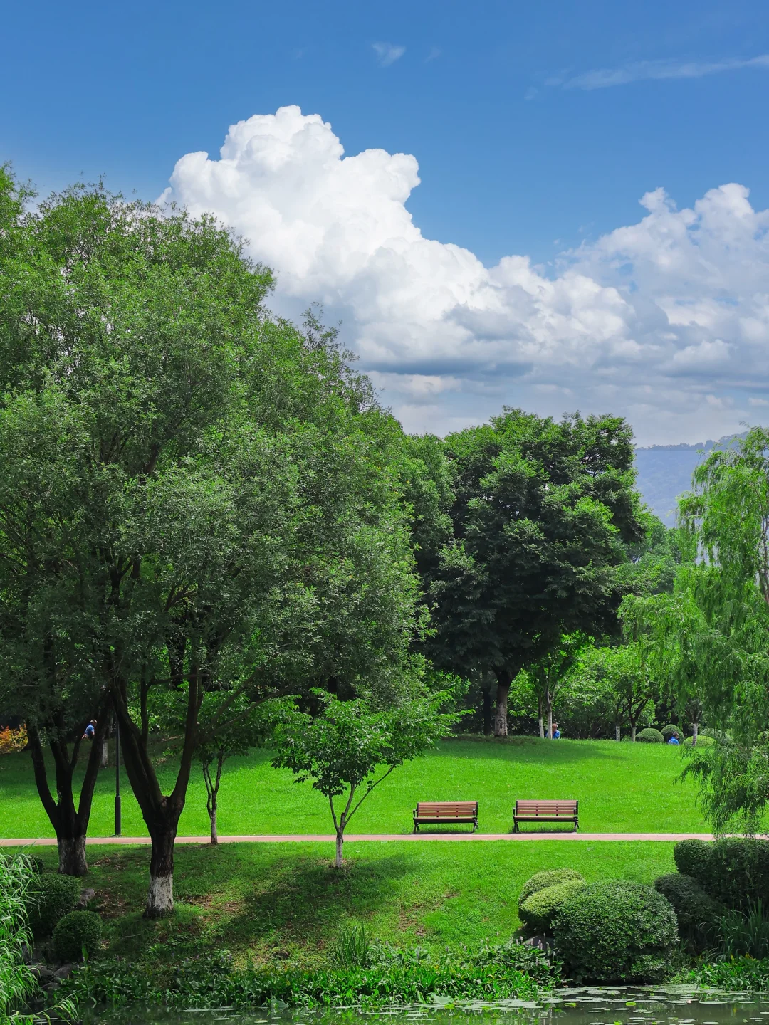 来杭州西湖一定不要错过的帕梅拉打卡点…