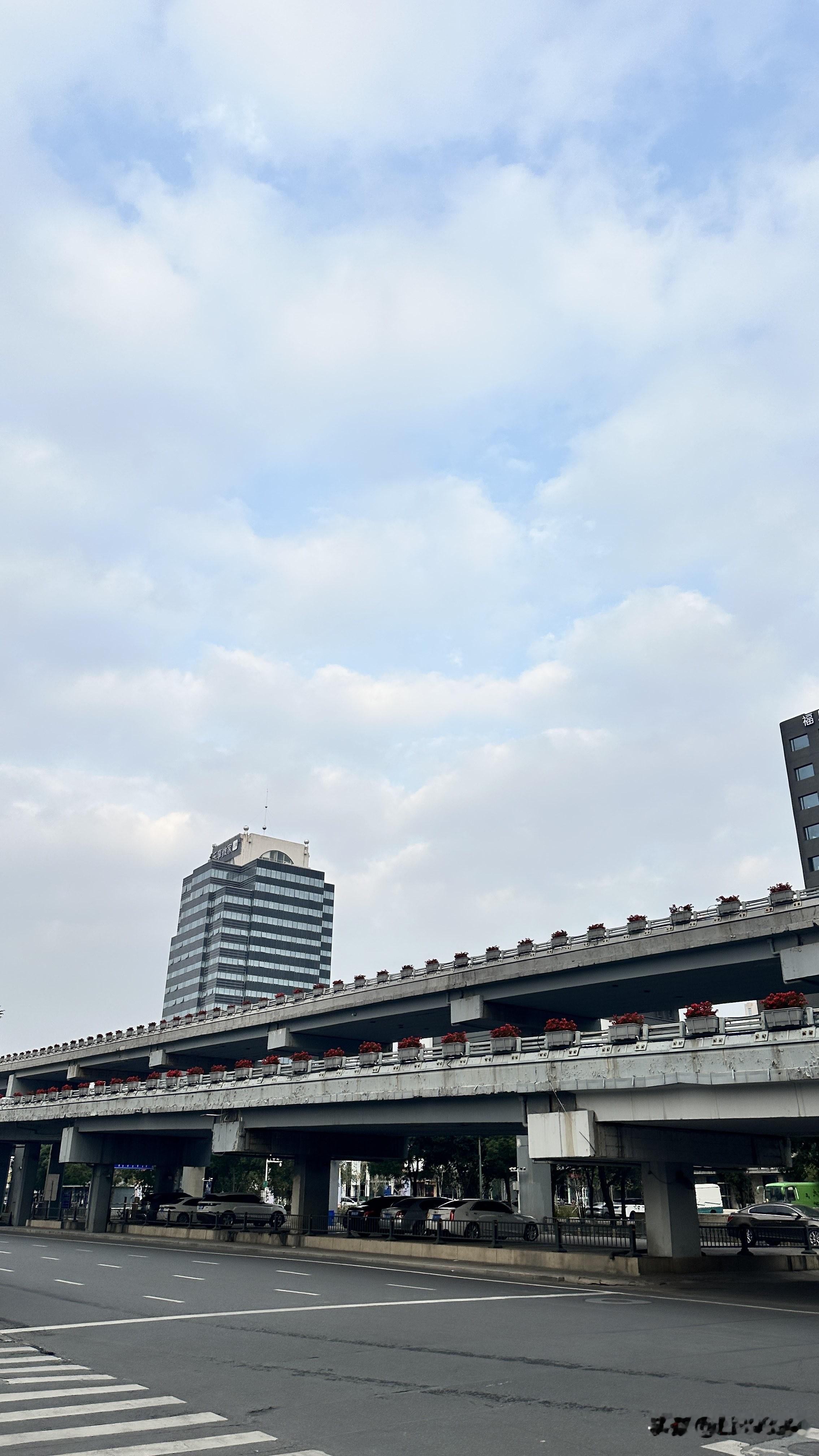 首先，她精准还原了基层打工人的真实窘迫与韧劲。穿着母亲买的仿冒名牌去顶级公司面试，捏着衣角、缩着肩膀；面对上司的否定，她靠