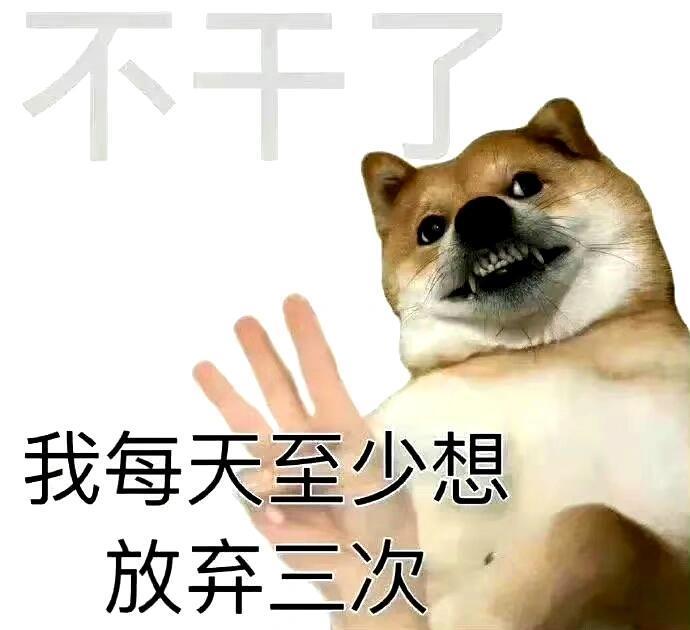 存表情包的快乐时间！