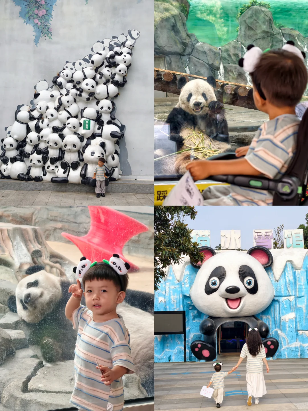 长沙周边1.5h亲子一日游🐼带娃看10只大熊猫