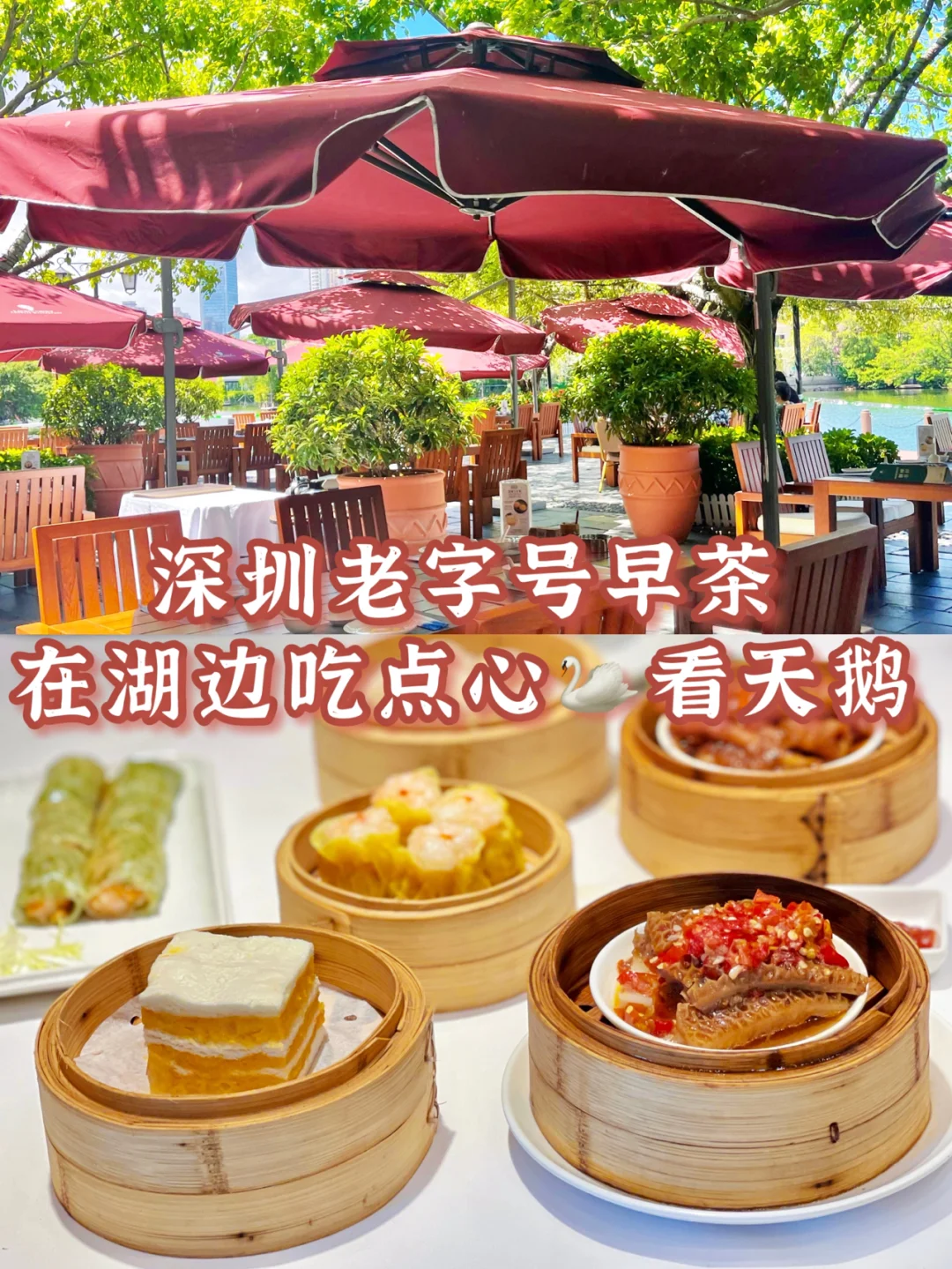 深圳这家老字号早茶⁉️让我产生在法国的错觉