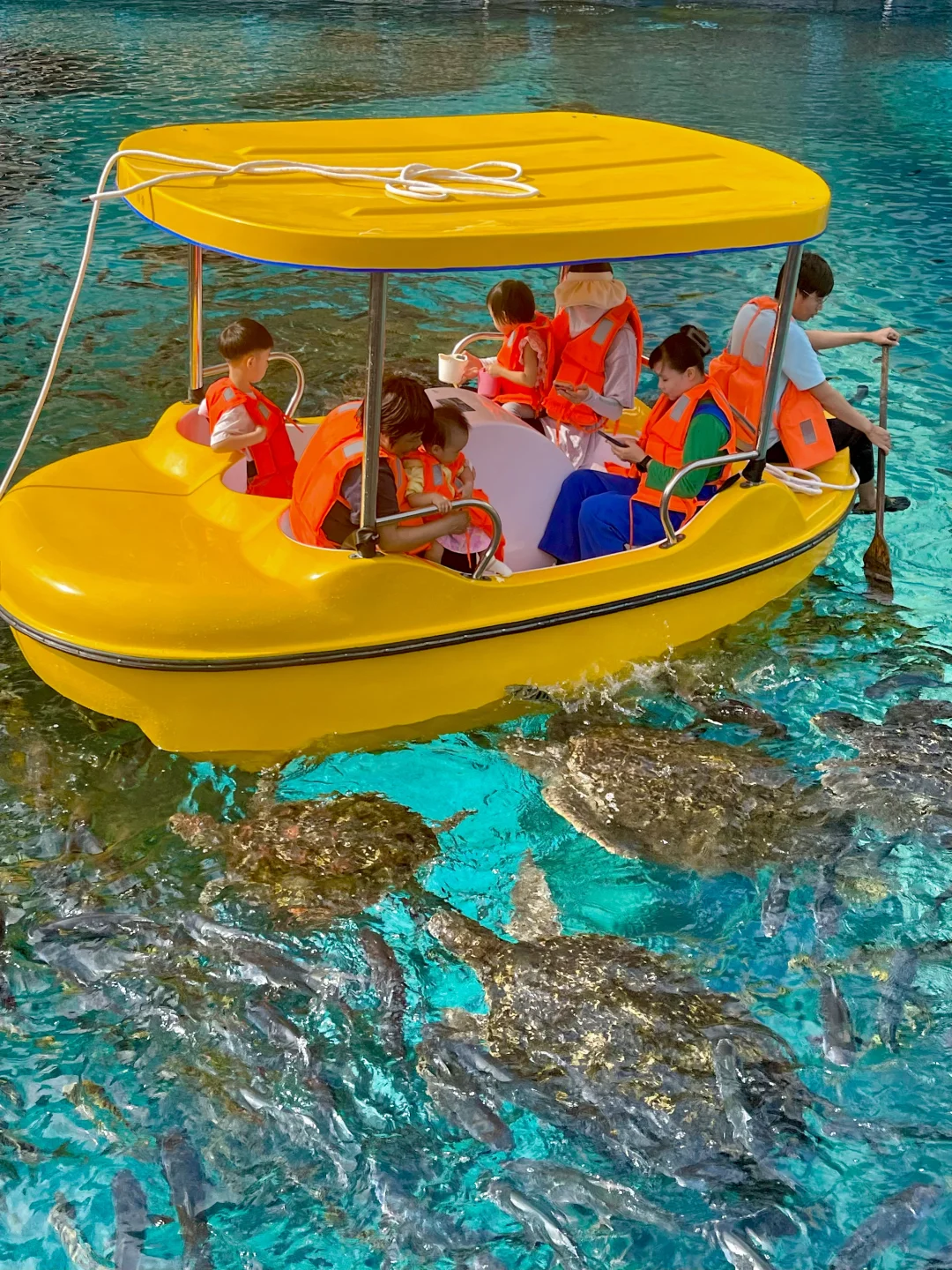 迄今为止，带娃旅行最喜欢的海滨城市出现了！