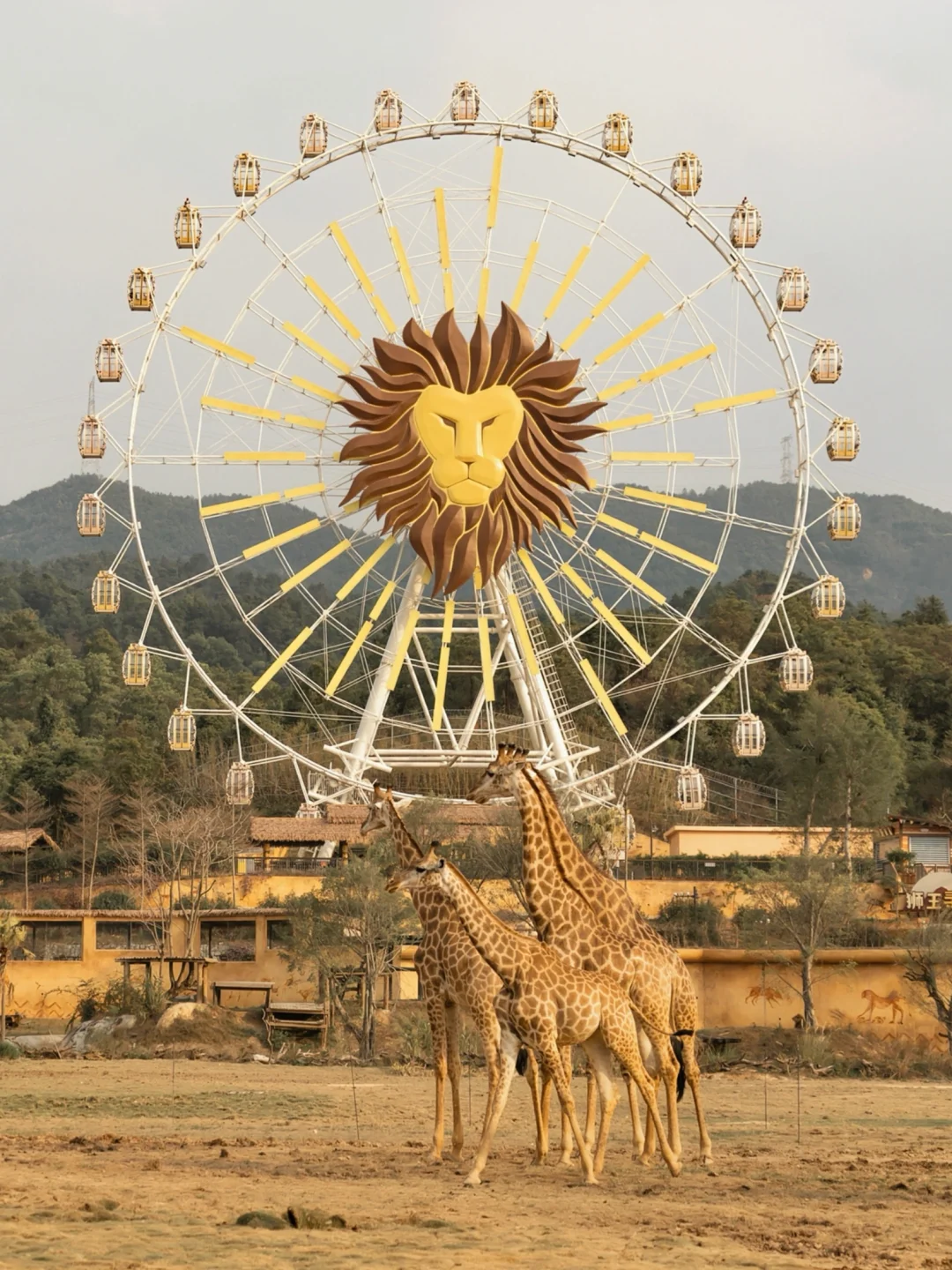不在非洲❗️广东版的“动物王国”太治愈了‼️